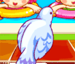 Three blue pigeons