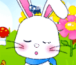 Little peter rabbit