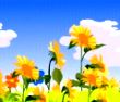 You are My Sunshine