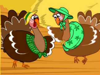 turkey in the straw