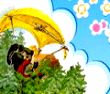 黄雨布历险记