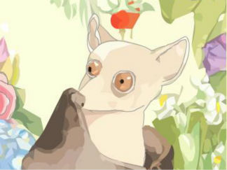 蝙幅先生的花园