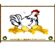 Hen Egg