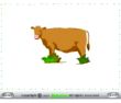 Cow Pig
