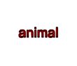 Person Animal