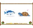Fish Turtle