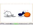 Mouse Ant