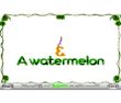 Grape Watermelon