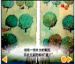 金梨属于谁(中文)
