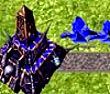魔兽战争2.5