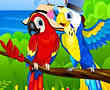 五颜六色的鹦鹉