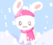 收养小雪兔