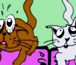 猫流口水