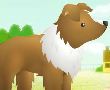 小清新犬赶小羊