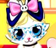 猫咪沙龙
