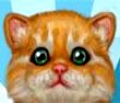 乖巧小猫咪