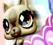 飞天猫咪吃金币中文版