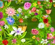 玫瑰花园找花