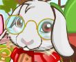 宠物小兔