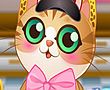 小猫咪看耳朵