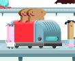 可爱糖果赛车