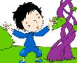 杰克的魔豆