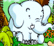 眼力大考验