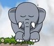 惊醒小象中文版