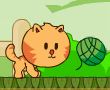 小猫找线团