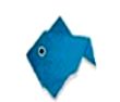 Fish--鱼