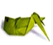 Grasshopper(蝗虫)