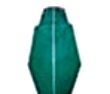 Buprestid(吉丁虫)