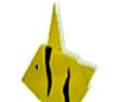 Moorish Idol(镰鱼)