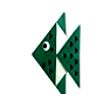 Tropical fish(热带鱼)