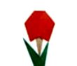 Flower(花)