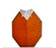 Persimmon(柿子)