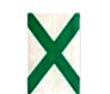 字母X