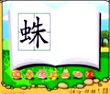 蛛