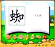 蜘