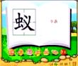 蚁