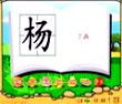 杨