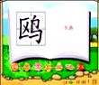 鸥