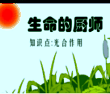 生命的厨师