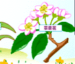 谁来帮帮我