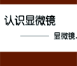 认识显微镜