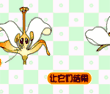 果实分类