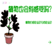 植物也会有感受吗