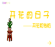 开花和传粉