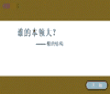 根的结构