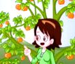 刚摘的柿子能不能马上吃？